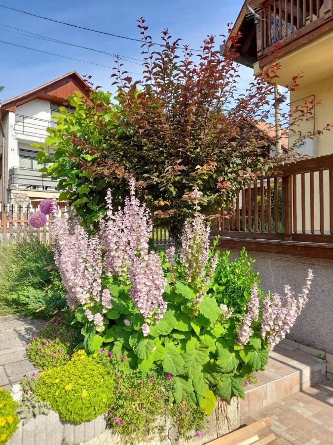 Harmonia Vendeghaz 100 Meterre Az Igali Gyogyfuerdotol Apartment Bagian luar foto
