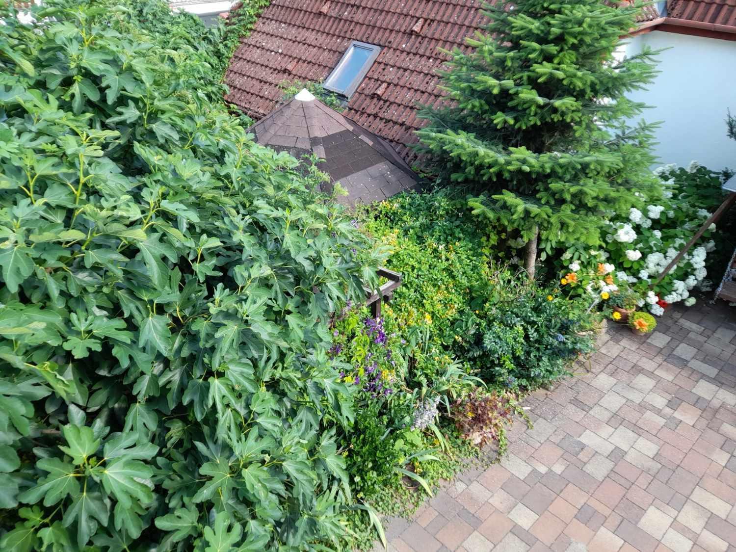 Harmonia Vendeghaz 100 Meterre Az Igali Gyogyfuerdotol Apartment Bagian luar foto