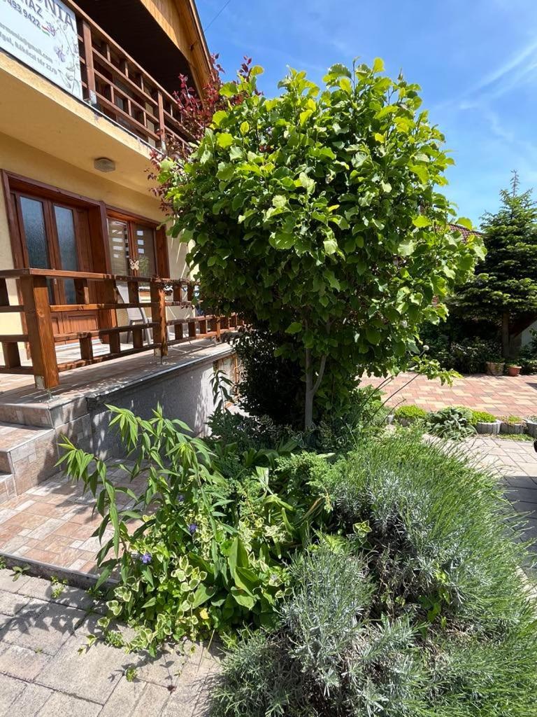 Harmonia Vendeghaz 100 Meterre Az Igali Gyogyfuerdotol Apartment Bagian luar foto